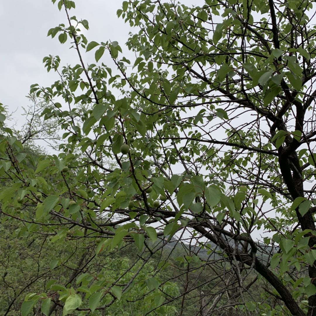 ����̿����ô���Ͱ������˵ģ�