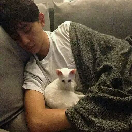 ʲô�ǳ���ȩ�������̿�����������ӵ���������