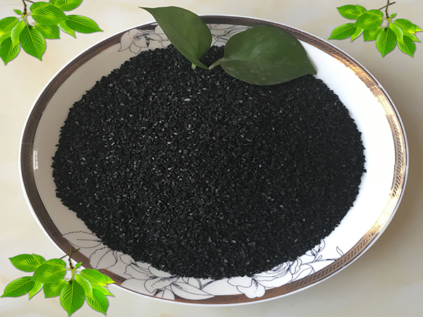 Ҭ������̿��϶��(du��)�����|(zh��)����������