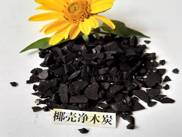 �្�����������ἰ�������л���̿������