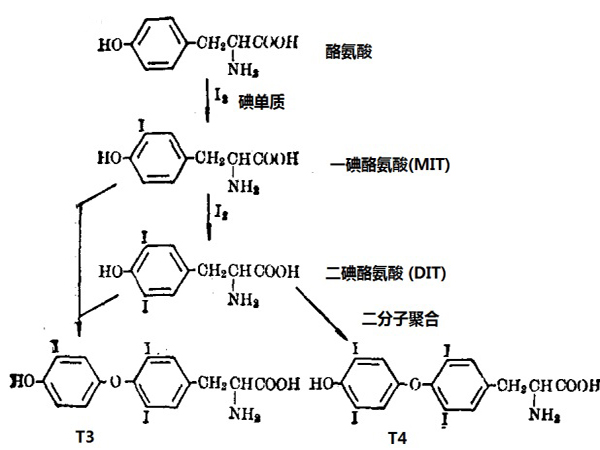 ����̿�����⻯��Ч��������