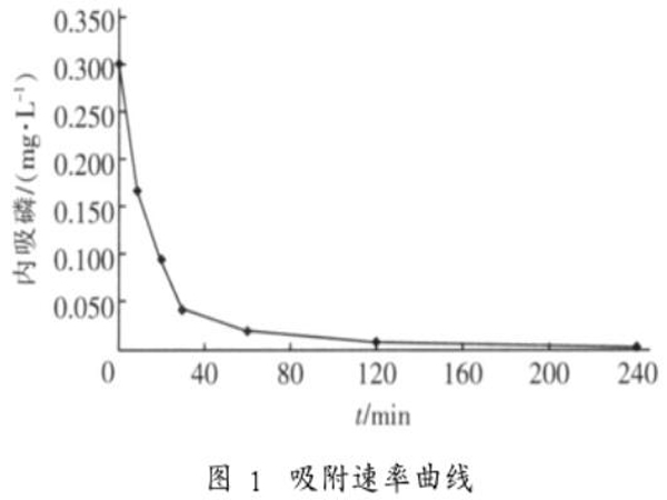 �۠����̿����(n��i)���׵���������